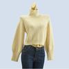 Velvet Turtleneck Soft Glutinous Base Sweater Women's Autumn and Winter Sexy High Waist Crop Top Short Pile Collar Pullover Tops