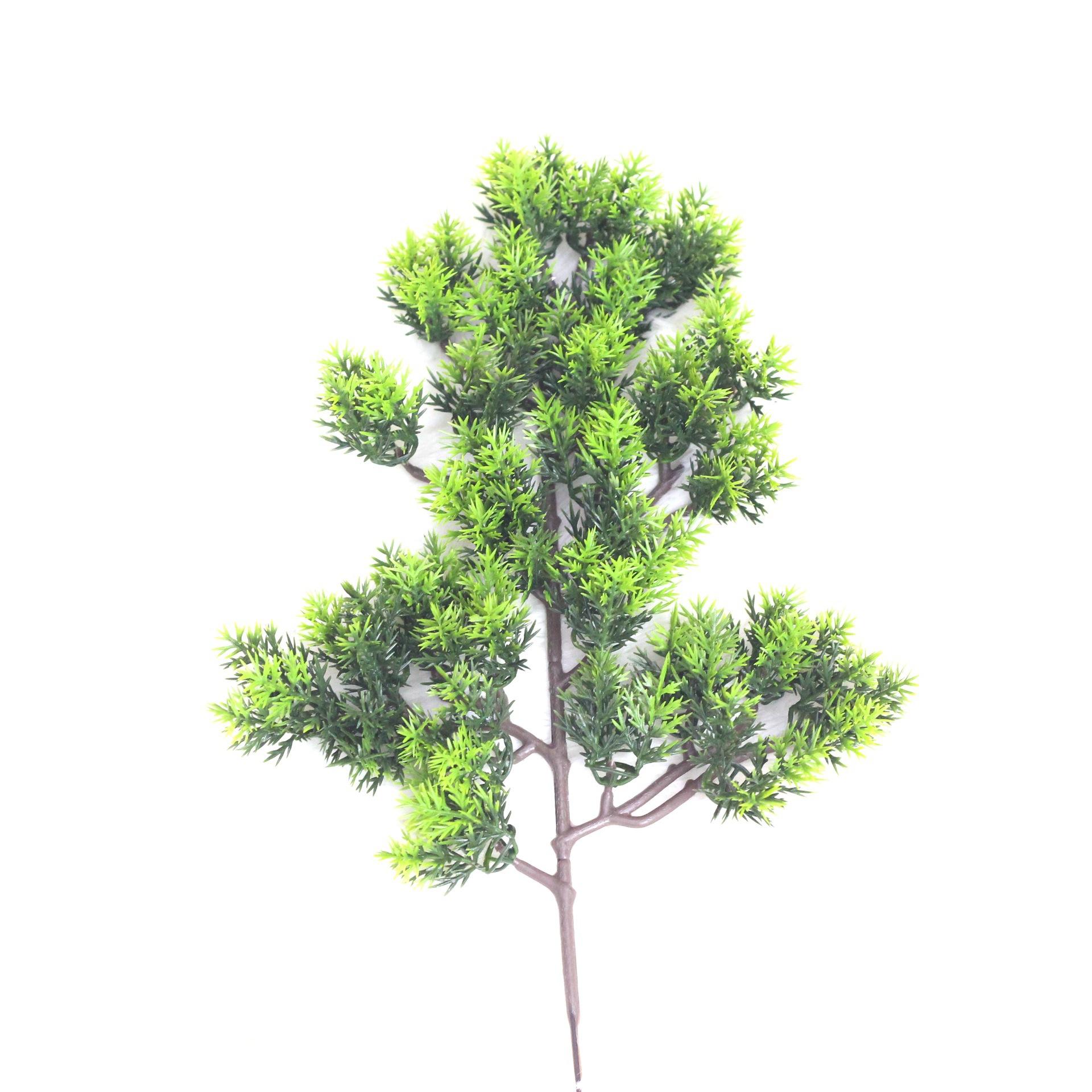 

Simulation Of A Single Beauty Pine Branch Fruit Cypress Branch Pine Needle Tree Branch Wukesong Project Matching Plant List