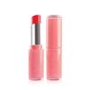 Amuse Fondue Balm 3.2g 1 Pcs 07 Coral Freeze