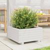 VidaXL Planter White 50x50x26.5 Cm Solid Pine Wood, Outdoor Planter, Flower Box, Plant Box, Planter 847294
