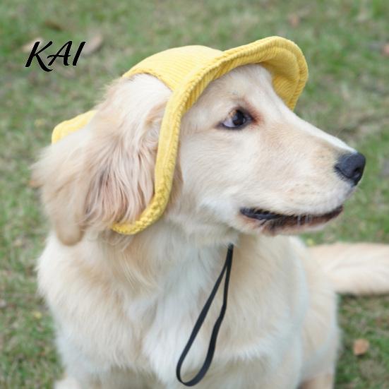 Versatile Dog Costume Corduroy Baseball Cap, Cat Summer Beach Visor Hat with Ear Easy to Wear Cap Holes, Adjustable Puppy Sunbonnet