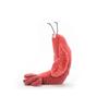 JELLYCAT Ocean Series SHELLS&SCALES Lobster Larry Soothing Red Doll Plush Figure 27cm Height