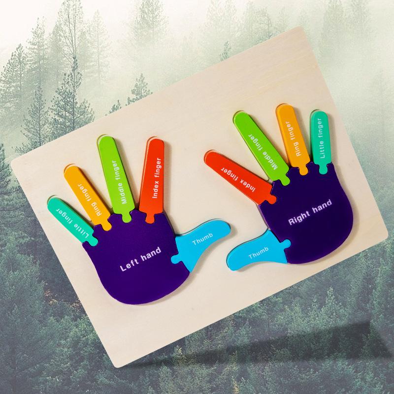Foot Palm English Cognitive Puzzle Wooden Children's Puzzle Early Education Puzzle Toy