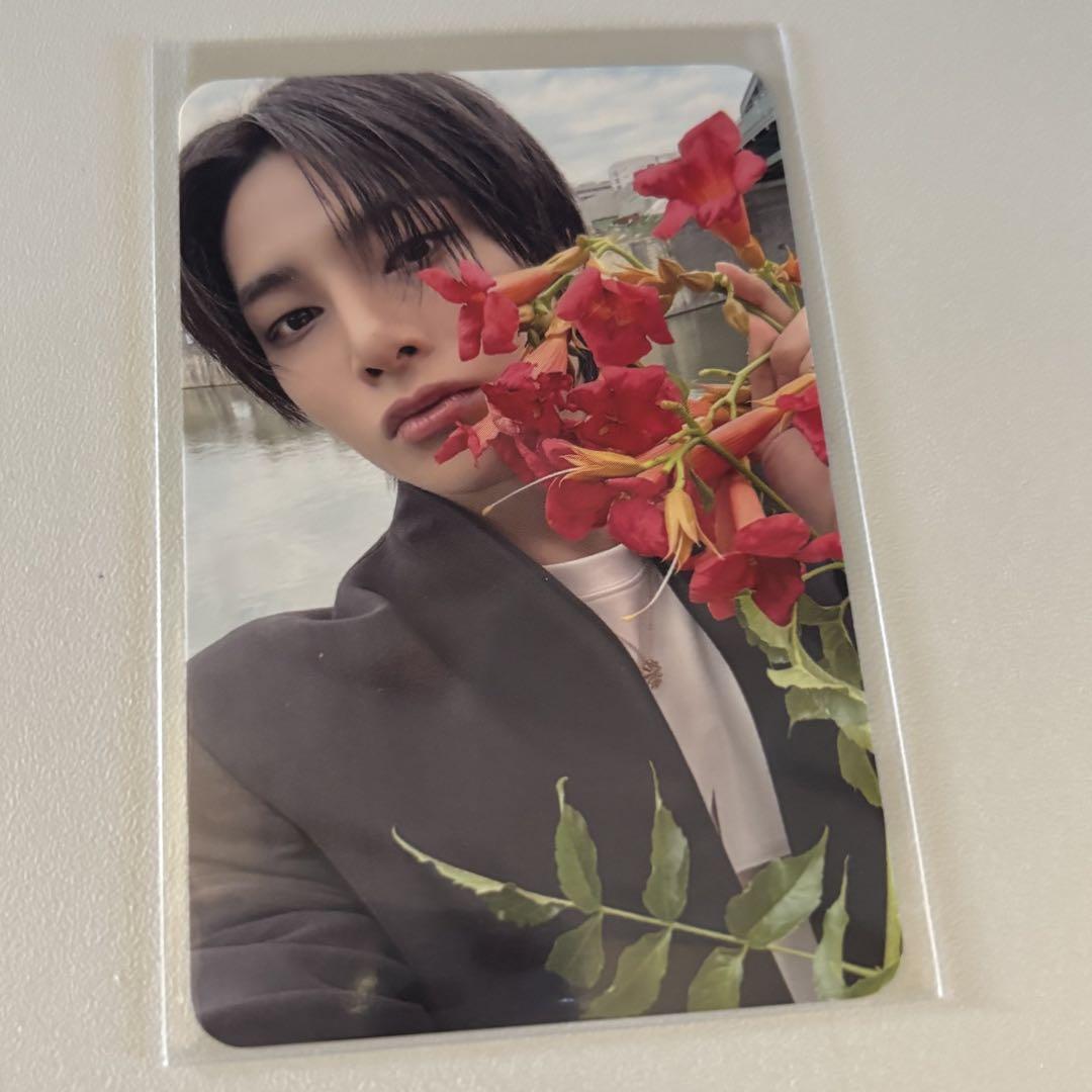 

[USED] stray kids ien karma