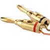 Vergoldeter 4mm Bananenstecker Audio-Anschluss für Lautsprecher