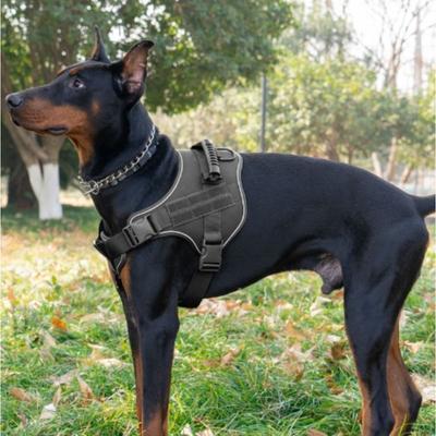 Hondenriem Vest Type Golden Retriever Labrador Borstband Klein Middelgroot Grote Hond Uitlaatriem Hondenketting