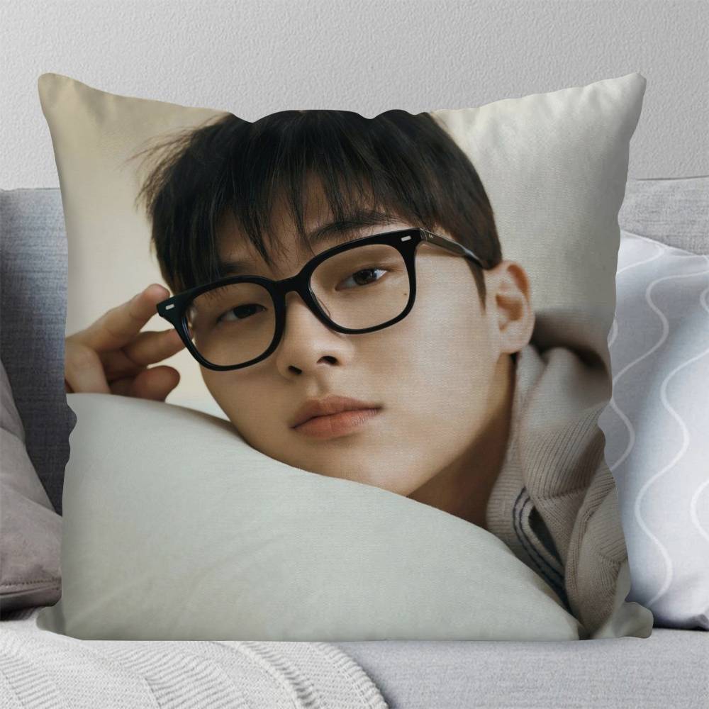 Korean Celebrity CChoi Hyun Wook Pillow Case Fashion Square Pillowcase Bedroom Sofa Room Ins Decoration Leisure