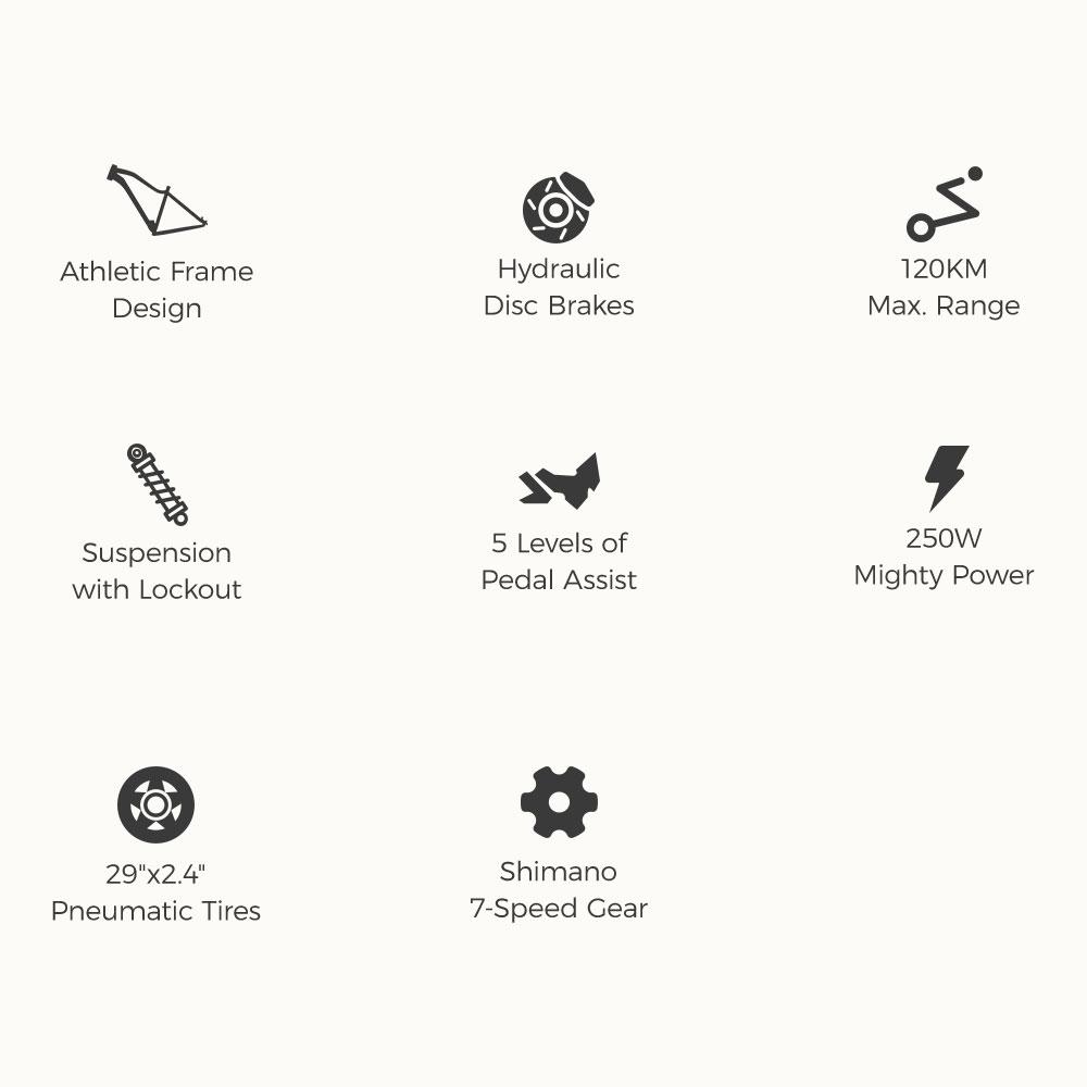 Foride Xtremer 3 250W 576Wh E-Bike mit 29”×2.4” Mountainbike-Reifen und 120km Maximalreichweite
