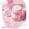 25g Anti Wrinkle Cherry Blossom Essence Nursing Face Cream Crema idratante idratante per la cura della pelle Cosmetici anti-invecchiamento Crema intensiva
