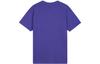Nike Acg Short Sleeve Tee BQ7343-470