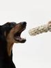 1pc Pet Dog Rope Toy Durable Chew Bite Resistant Interaction Pet Toys Medium Large Dogs Retriever Pitbull Labrador Pet Supplies