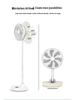 Portable USB Rechargeable Floor & Desktop Fan with Digital Display, 12000mAh Battery