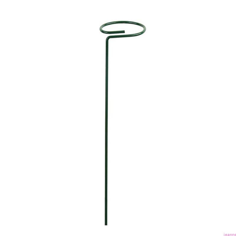 Garden Support Stake Ring Metal Garden Plant Supports Single Stem Shrub Holder