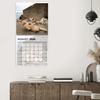 2026 Cat Ball Calendar Jan.2026 - Dec.2026 12 Monthly Wall Calendar with Hilarious Feline Moments Gag Gift for Cat Lovers