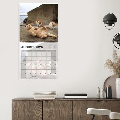 2026 Cat Ball Calendar Jan.2026 - Dec.2026 12 Monthly Wall Calendar with Hilarious Feline Moments Gag Gift for Cat Lovers