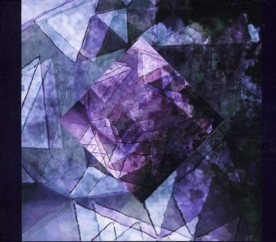 CD TEEN - In Limbo  CAK75 Carpark Records US Music Others Used