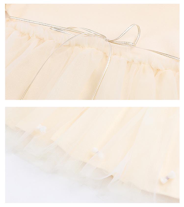 Girls' 2025 Autumn Princess Mesh Dress - Little Girl's Fashionable Casual Skirt