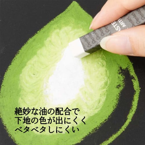 Pentel Crayon Professional Pass PTA-50D 49 colors (2 white)