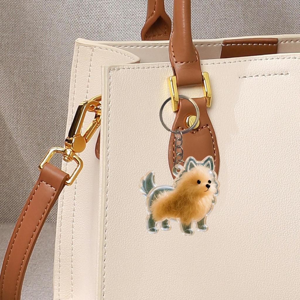 Hundehaar Aufbewahrungsanhänger Schlüsselanhänger Transparentes Hundehaar Sammler Anhänger Souvenir Sammlung Geschenktüte Dekoration Schlüsselanhänger Schmuck