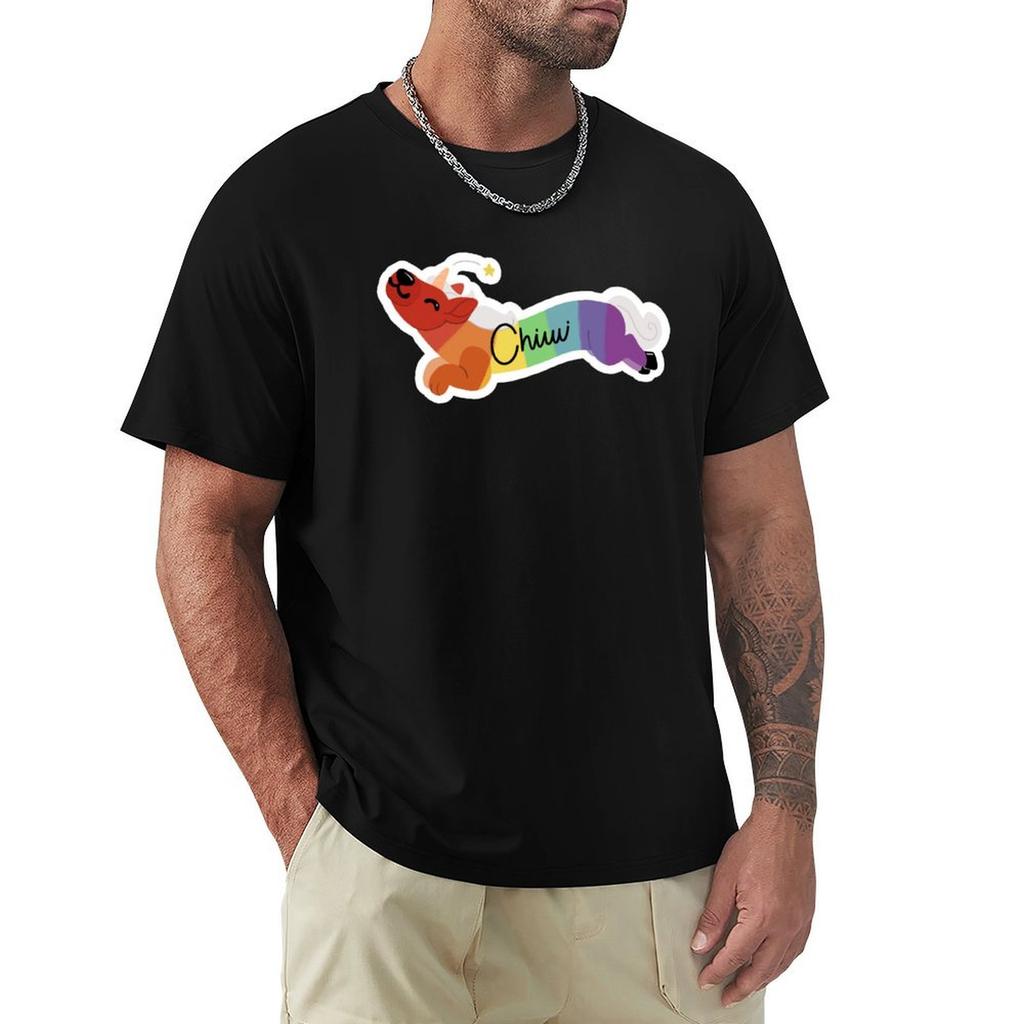 Rainbow Chiwi TShirt Basic Solid Color Short Sleeve TShirt