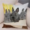 Cute Rabbit Cushion  Pillowcase Pillow S for Sofa Car Home Decor Pet Animal Pillow  Cotton Short Plush  ,