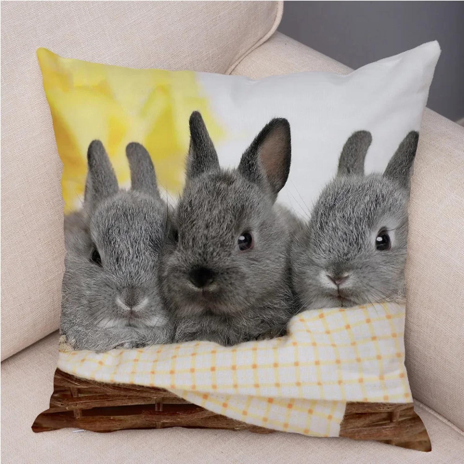 

Cute Rabbit Cushion Pillowcase Pillow s for Sofa Car Home Decor Pet Animal Pillow Cotton Short Plush , 66x66cm