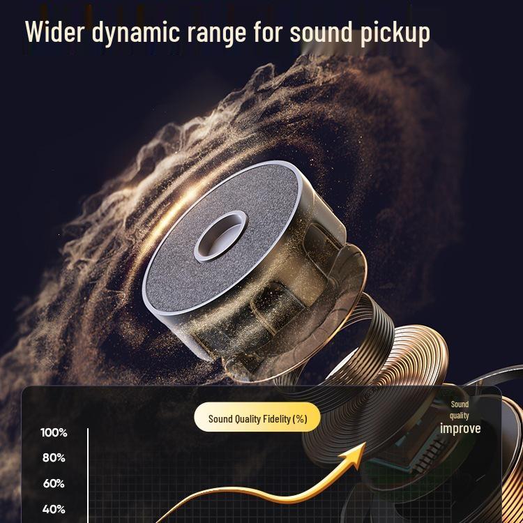 Universal Wireless Microphone for Professional Home & Outdoor KTV Sound Systems with Dual Receivers
