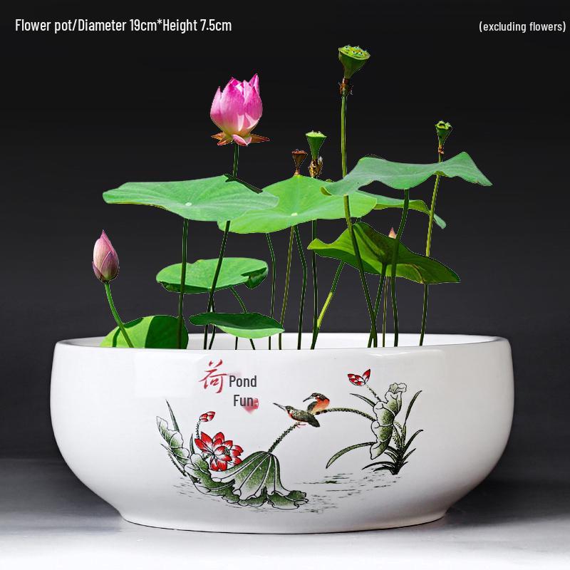 Großer Keramik-Lotus Seerose Hydroponischer Blumentopf ohne Abfluss
