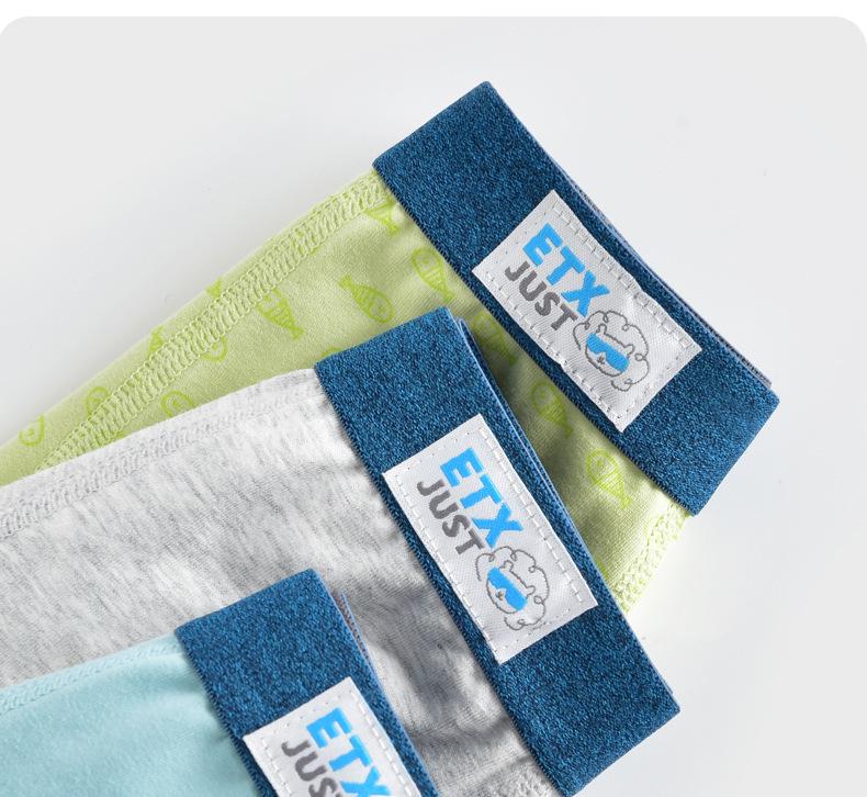 ETX JUST Boys' Boxer Briefs: Flat-Legged, Medium & Large Toddler, Child Development Period, Four-Legged Pants.