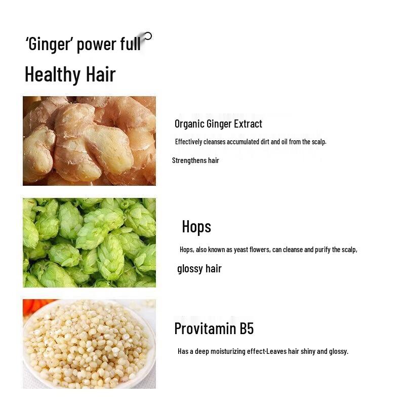 Fenghua Invigorating Botanical Shampoo