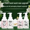 LUX Freesia Scent Antibacterial Foaming Hand Wash
