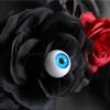 Gotico Balck Rose Wreath Halloween Eyeball Wreath Black Rose for Front Door Window Mantle Indoor Outdoor Halloween