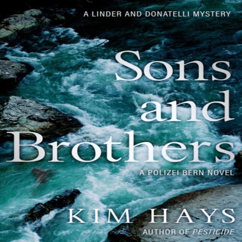 Sons Amp Brothers by Kim Hays Paperback Book 9781645060581