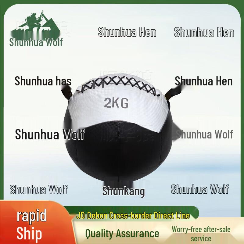 

Shun Hua Lang Fitness Weighted Wall Ball