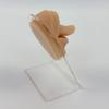 Professional Silicone Body Facials Piercing Trainer With Realistic Skin Texture For Dental Education And Aesthetic Labs