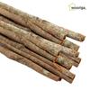 Whole Cinnamon 500g + 500g + 500g (Total 3 Bags) 500g