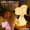 Becuri LED – Lumini de noapte LED