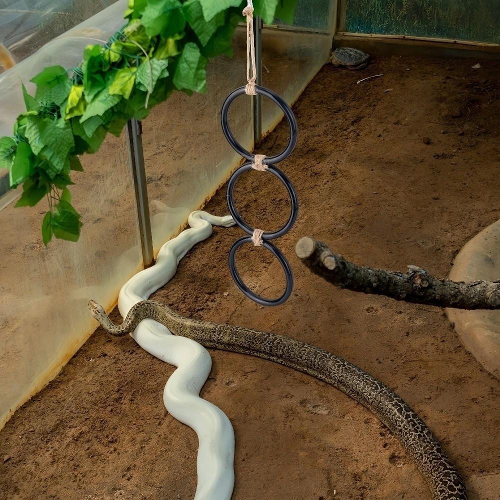 Enrichment Toy Reptile Climbing Toy Acrylic Gecko Climbing Rings  Pet Terrarium