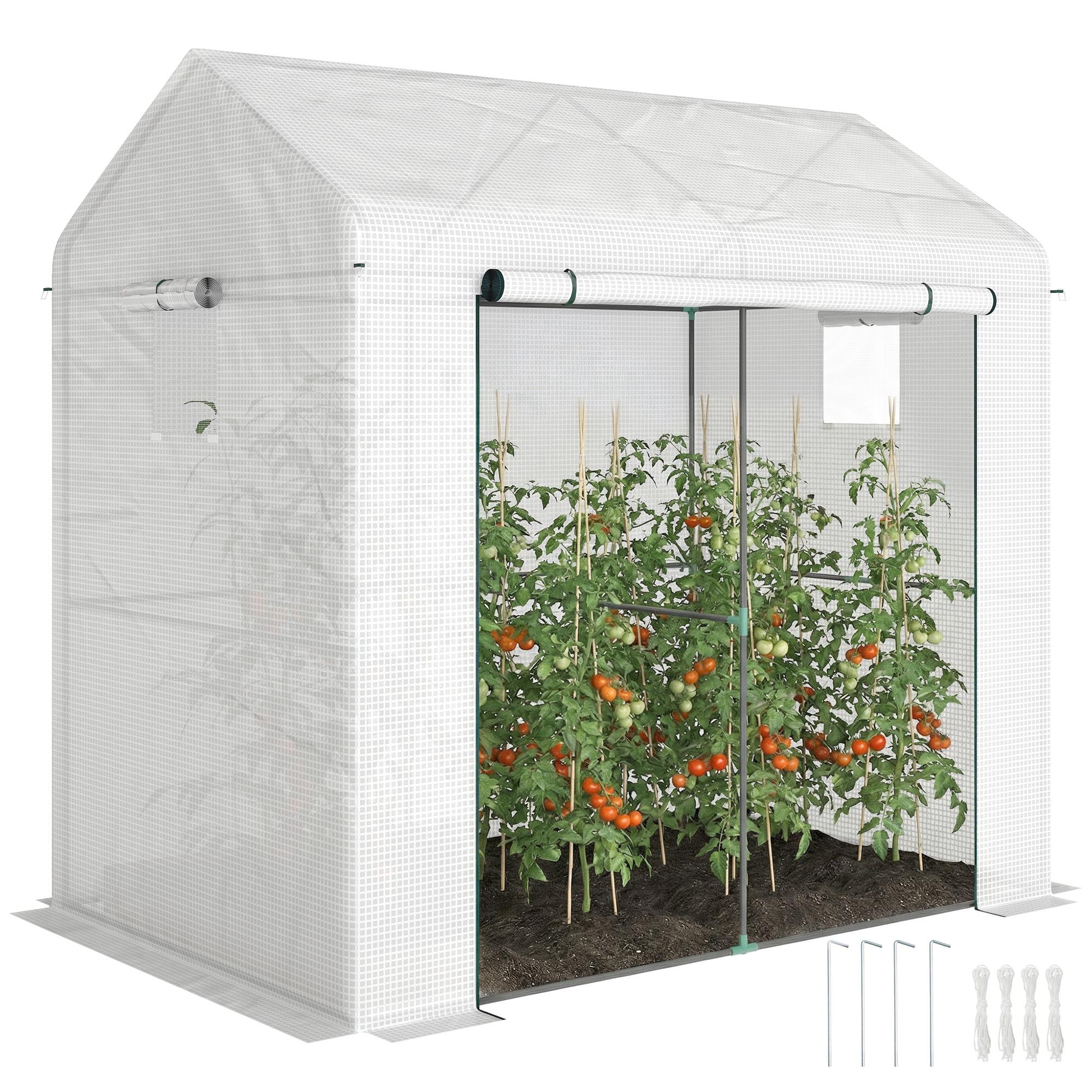 Walk-in Greenhouse, Outdoor Tomato Greenhouse with
