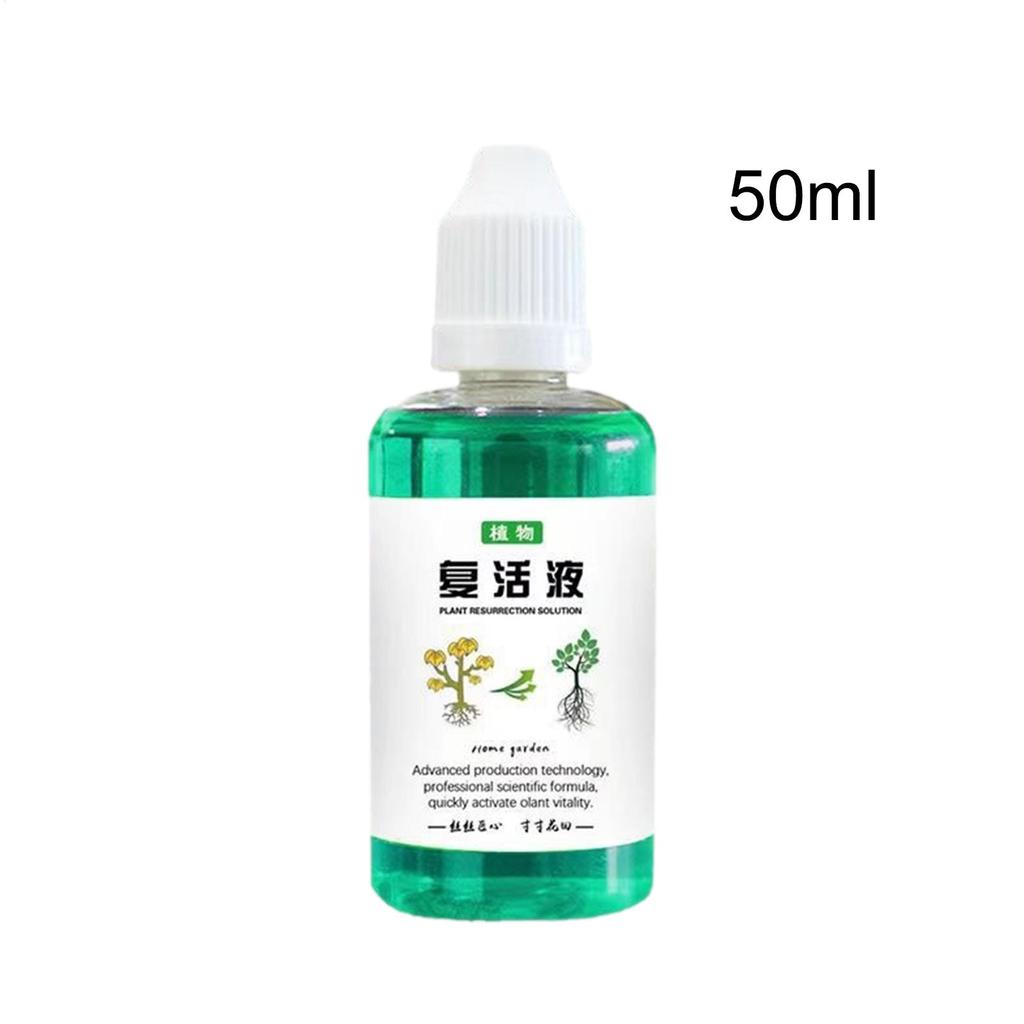 Root Stimulator For Plants 50ml Plant Growth Enhancer Succulents Root Booster Indoor Plant Fertilizer Plant Nutrient Solution