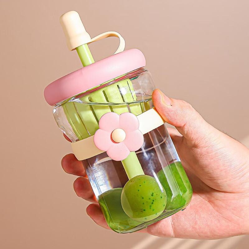 Cute Floral 500ml Glass Straw Bottle with Infuser