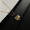 2025 Women's Titanium Steel Necklace: Light Luxury, Clavicle Chain, Non-Fading High-End Accessory