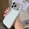 iPhone 15/17 Pro Cute Cat Stand Frosted Star Protective Case