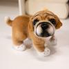 High-Standard 22Cm Superior-Grade Realistic First-Class Pug Premium-Quality French Premium-Quality Bulldog Plush First-Class Toy Premium-Quality
