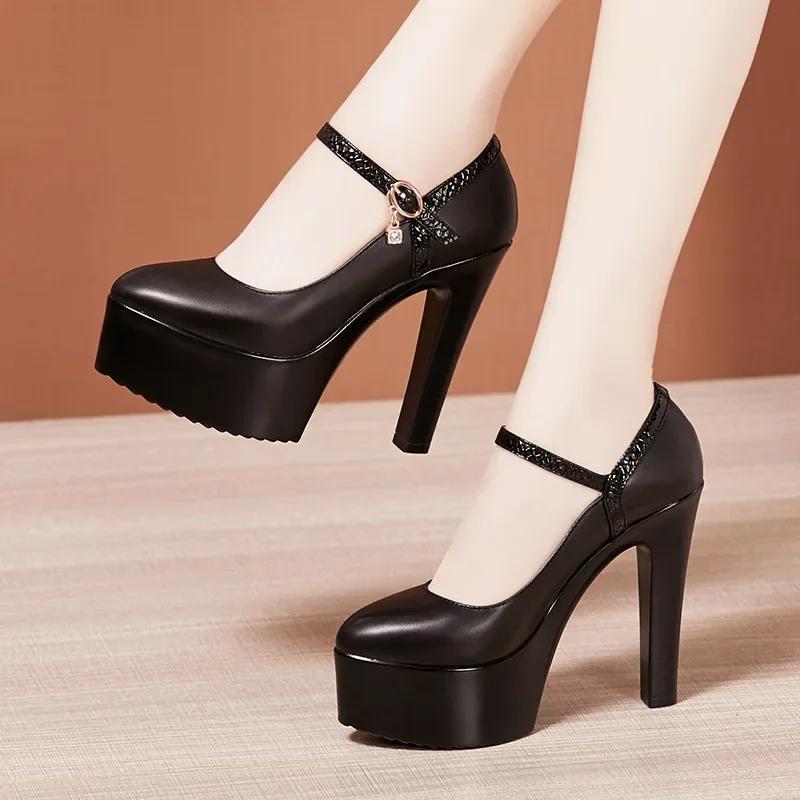 8 10 13cm Small Size 32-43 Elegant Thick Bottom Platform Pumps Women 2025 Fall Block High Heels Shoes Dress Model Office Party