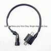 250CC Ignition Coil for JS250 ATV, BAJA WD250-U, FG-802000-0