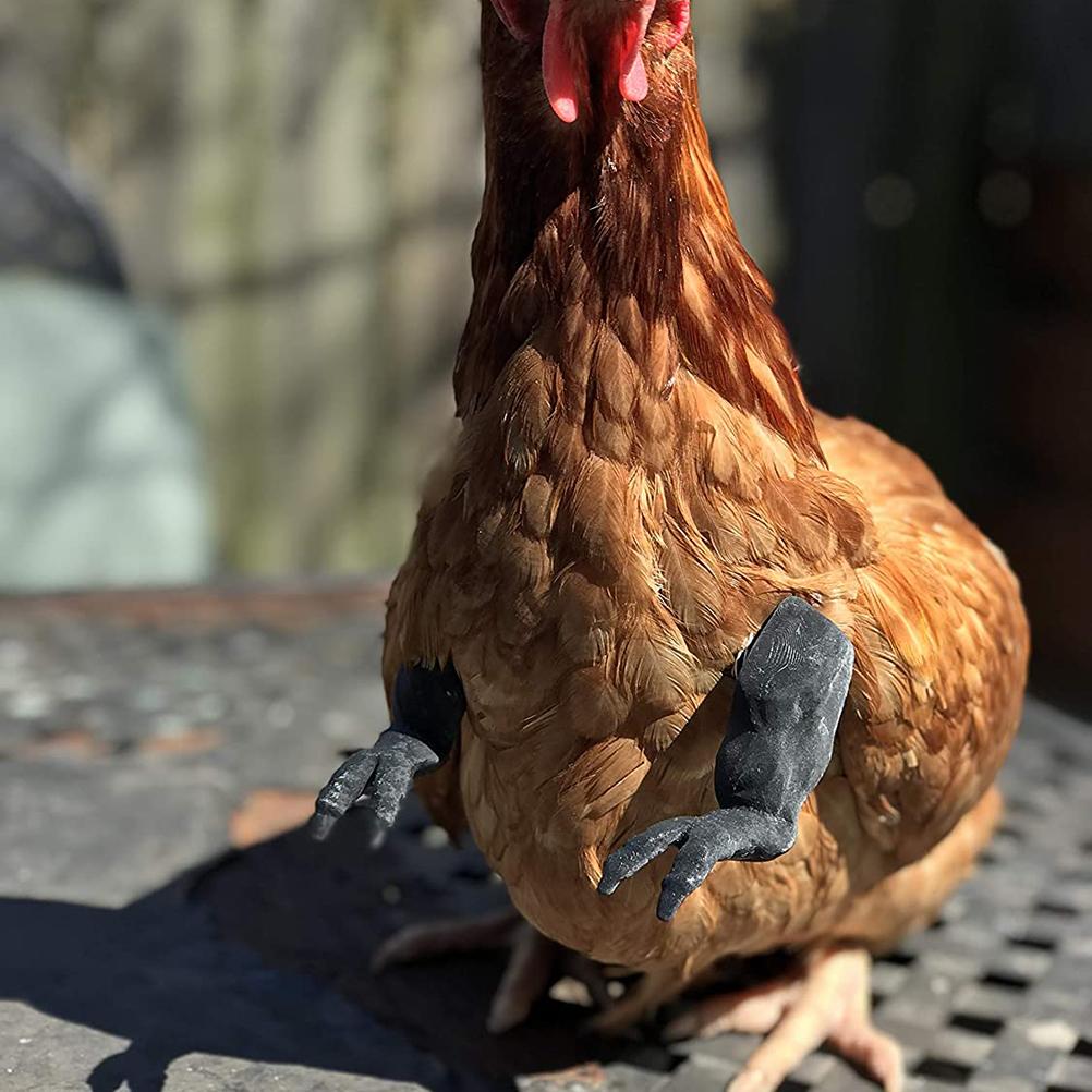 Kurczak Ramiona Gag Prezent Kostium Kurczaka Ramiona Zabawka dla Ptaka Kurczaka