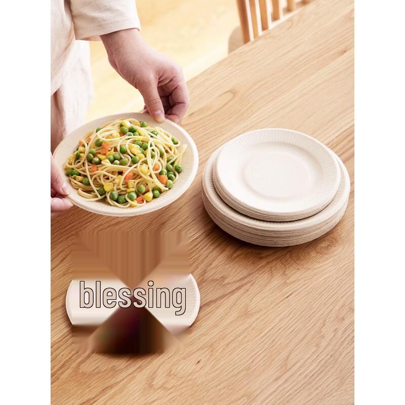 CHAHUA Disposable Paper Plates