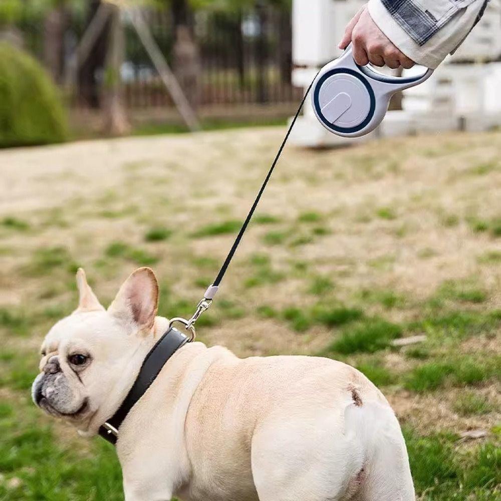 Wear-resistant Retractable Dog Leash Anti-bite Dog Walking Leash Pet Dog Leash  Training