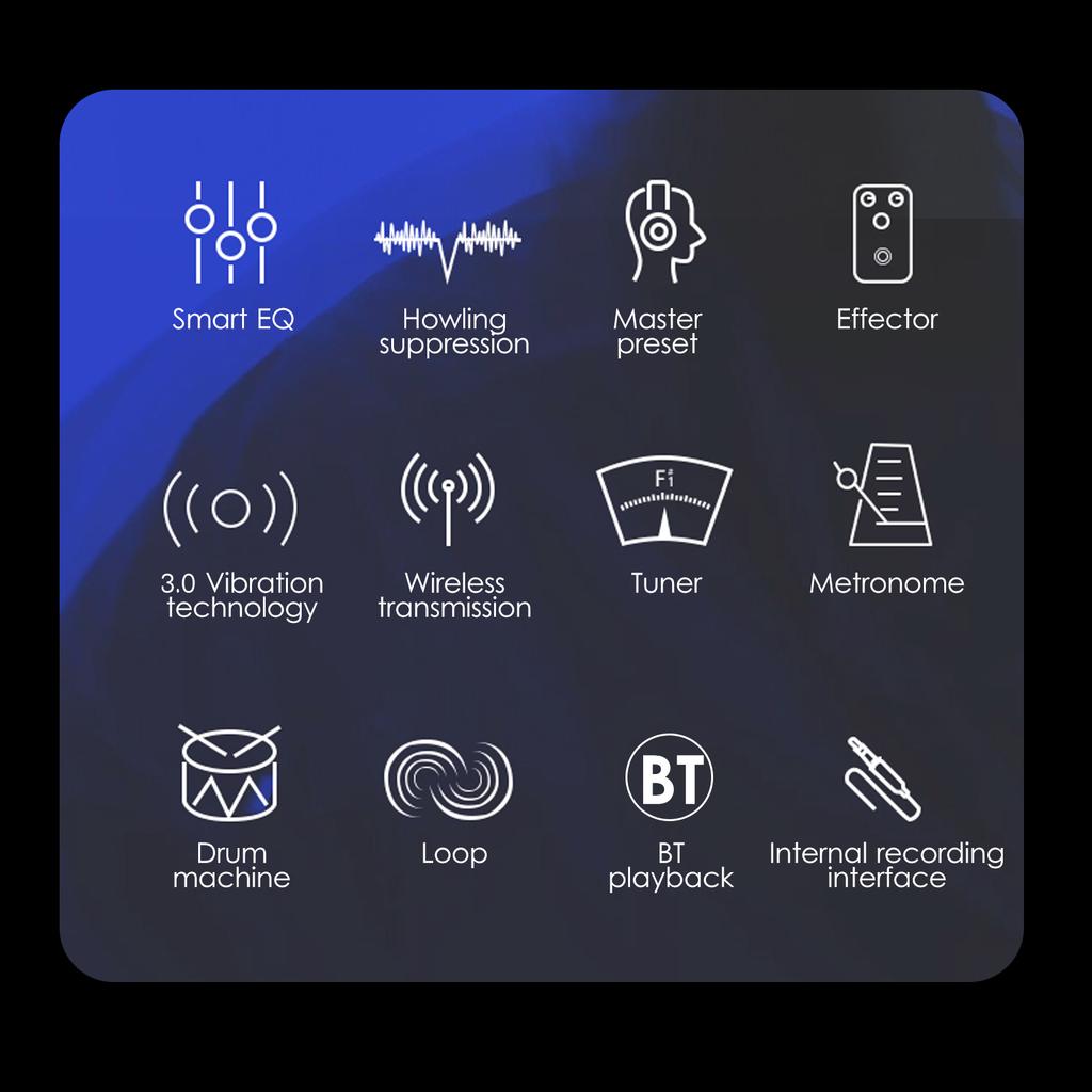 DOUBLE G0 Pro Guitar Preamplifier BT Preamp Pickup Acoustic Chorus Delay Reverb Effects Soundhole Pickup with Receiver Built-in Rechargeable Battery